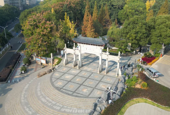 视频丨回雁峰：彩叶斑斓 美景如画