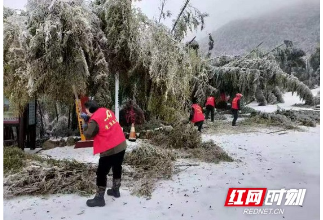 南岳区：党员干部迎“寒”而上战冰雪