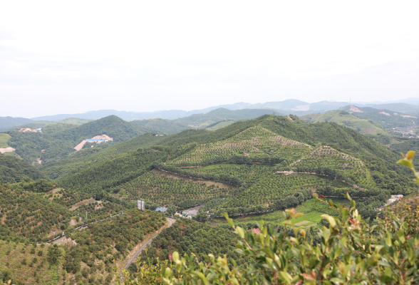 湘南煤都 生态蝶变