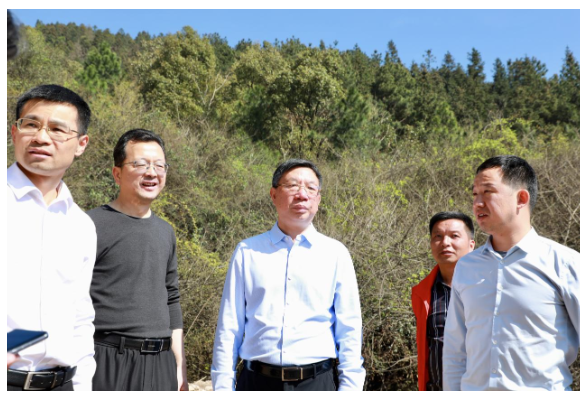 南岳区：守好绿色资源 共享生态成果