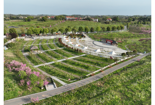 乡村振兴∣珠晖区堰头村：金甲梨园绽芳华 “珠晖味道”醉游人