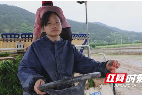 衡阳县：“00后”女农机手 让青春在稻田里发光
