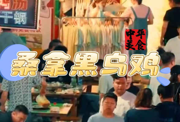 喜迎旅发会·美食汇①｜桑拿黑乌鸡：那一抹入味的口感让人时而有念想