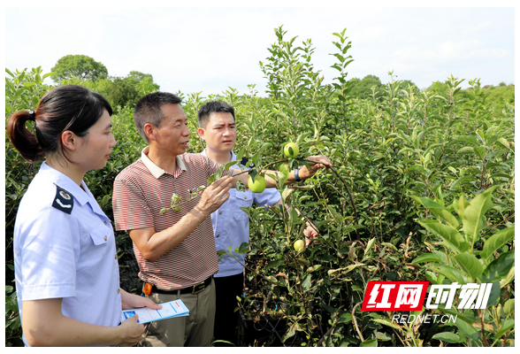 石鼓税务：助农兴农惠农 助推营商环境再优化