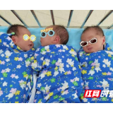 早产三胞胎加起来不足10斤，南华附一新生儿科精心守护终平安