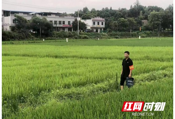 耕地守望者 | 耒阳： 5451 名“湾村明白人”聚起耕地保护合力