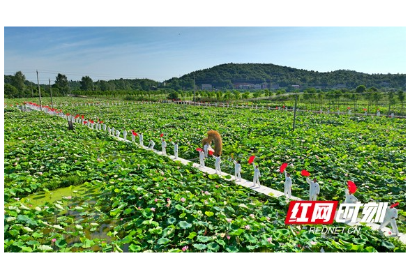 今天，上千人在常宁感受太极与荷