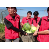 南华学子入村排查农村用电安全隐患