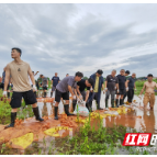 闻令而动 奋勇争先 衡东县卫健系统全力参与抗洪抢险