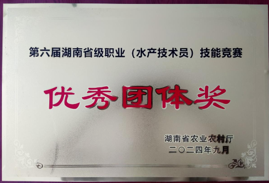 衡阳市在全省职业技能竞赛中再创佳绩