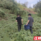 蒸湘法院:循线出击,精准查控被执行人隐蔽财产