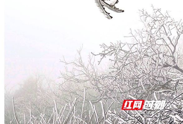 南岳春天里的雾凇盛宴