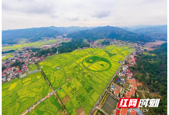 衡阳：近万名游客与乡村来一场“约会”