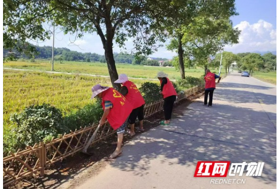 南岳区：移风易俗润乡村 “村”字IP绘新篇