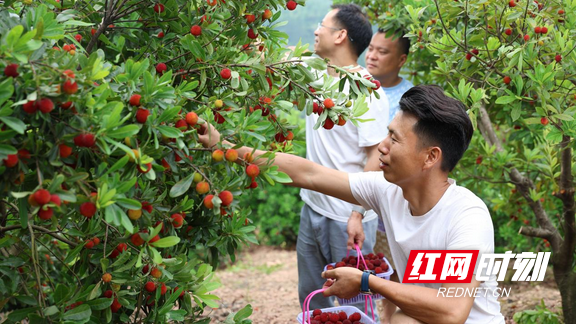 图片16.marked.png