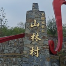 骑行山林 山风入怀 画卷中最自在的自己