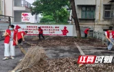 南岳区：清扫驿站暖民心 党建服务办实事