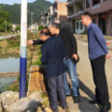 金洞：对乡镇交通整治再“督战”