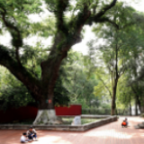 祁阳：景区陆续开放 旅游逐步回暖