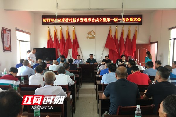杨村甸乡胡家桥村新乡贤理事会成立暨第一届一次会员大会现场。.jpg