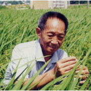 文化永州丨心中的永恒灯塔