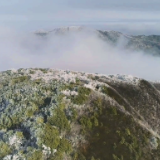 视频丨双牌阳明山：雪后山顶白色杜鹃花海