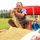 零陵：早稻开镰，一起感受丰收的喜悦！