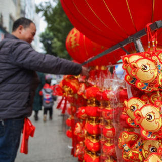 蓝山：年货市场年味浓（组图）