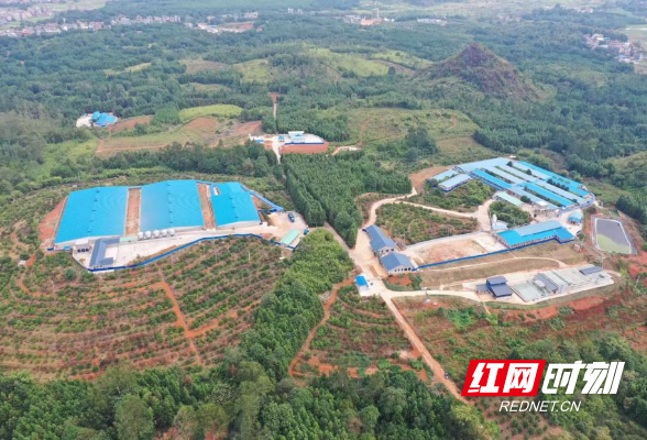 永州市首个国家级动物疫病净化场企业创建成功