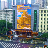 双牌桐子坳秋日限定金色皮肤已上线!红网千屏全城派送中