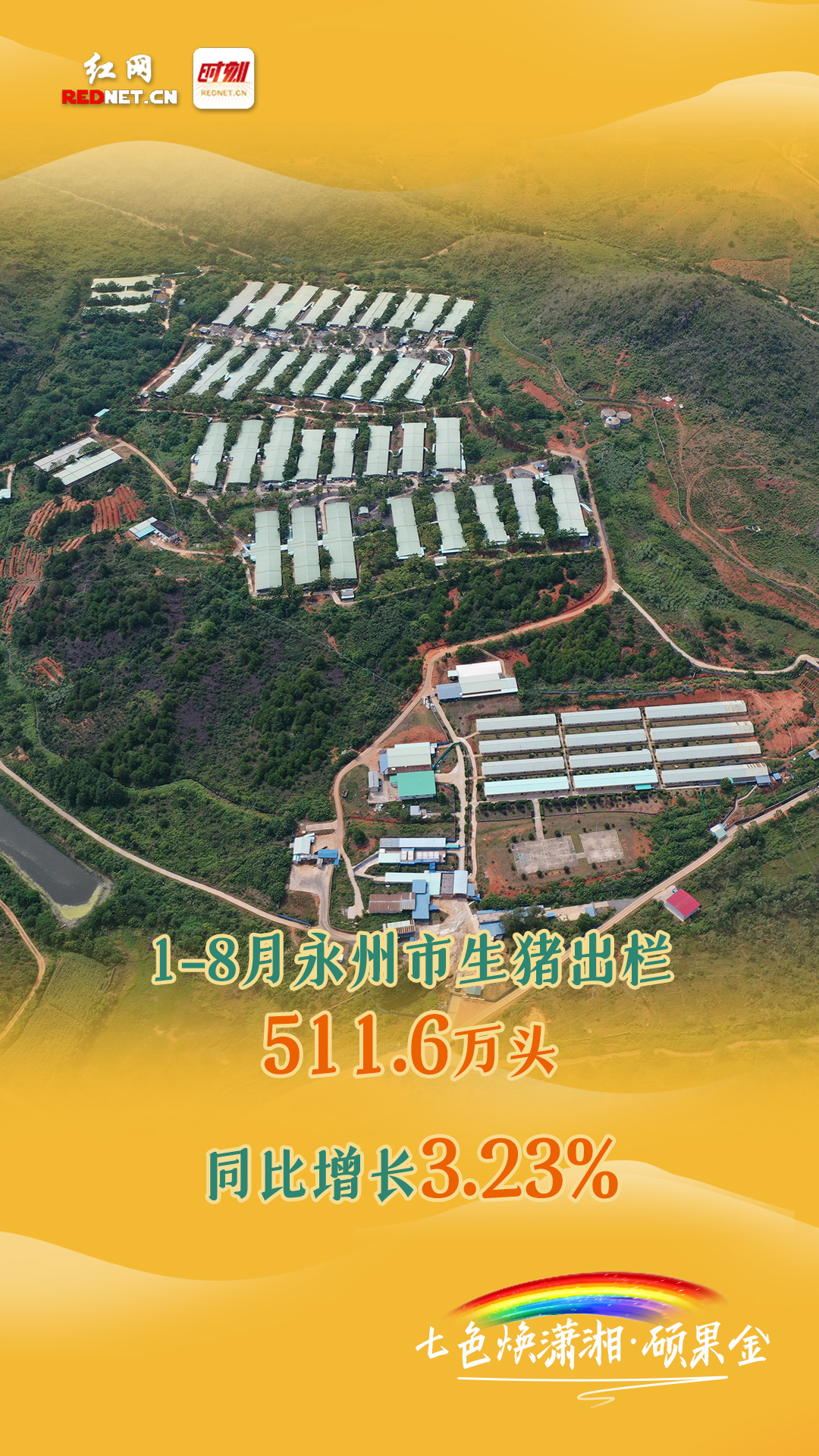 三.jpg