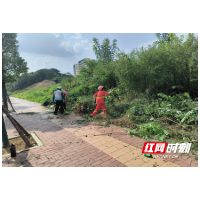 多部门联动 合力护环境