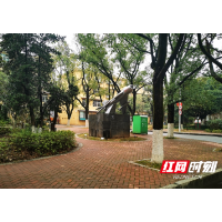 提质家门口的幸福 这个全龄友好型社区向心力十足