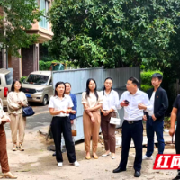 履职为民强担当 天心区政协“委员活动日”活动见行见效促发展