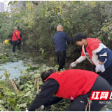 构建群防群治网 护路护绿共建美好家园