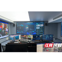 “数”惠天心：从数字政府到智慧生活