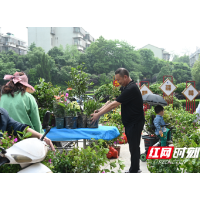 花园式小区共建开启   基层治理“沃土生花”