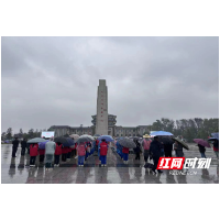 清明祭英烈：传承红色精神 凝聚奋进力量