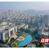 “青”力以赴 半载有成 | 天心区青园街道：总部高地正崛起 幸福家园新图景