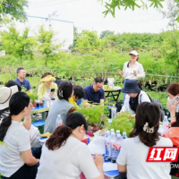 悦创青春 源起梦想 | 辣木巾帼于芳：从跨界引种到产业龙头 链动全球健康梦