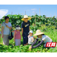 悦业天心·造梦谷 | 智慧果园里的“心之所向”