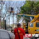 清枯木除隐患 护家园保平安