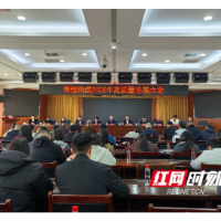 以首善担当作答“天心十问” 青园街道锚定高质量发展再“攀高”