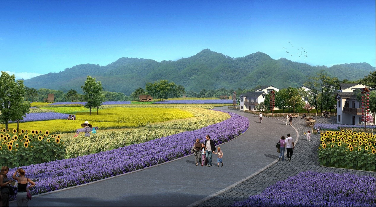 龙山乡村振兴项目2.jpg
