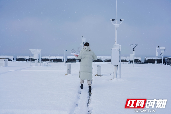 低温雨雪应急加密观测：人工观测.jpg