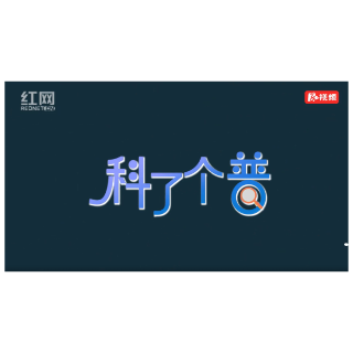 科了个普②丨溺水如何自救？消防员教你这样做！