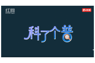 科了个普②丨溺水如何自救？消防员教你这样做！