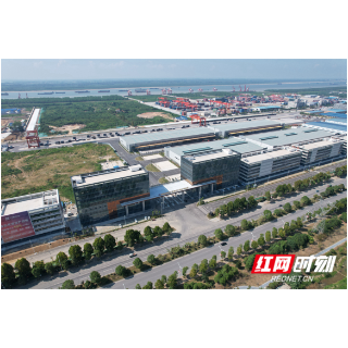 自贸五载 岳起新程丨绘准产业“路线图”，岳阳自贸跑出发展“加速度”