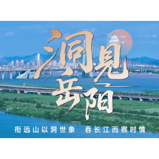 洞见岳阳丨岳阳这场春耕会,泥土味里藏着“丰收计”