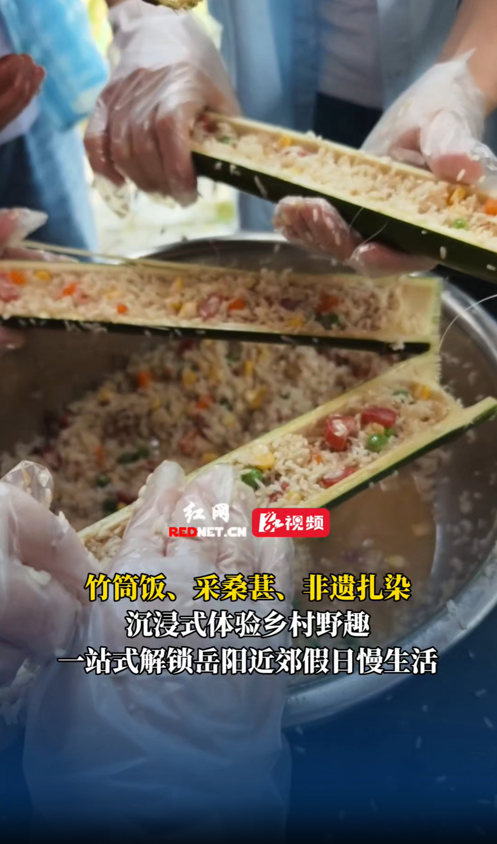 沉浸式解锁岳阳近郊假日慢生活